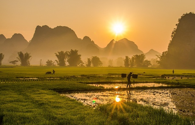 Moutain landscape Vietnam